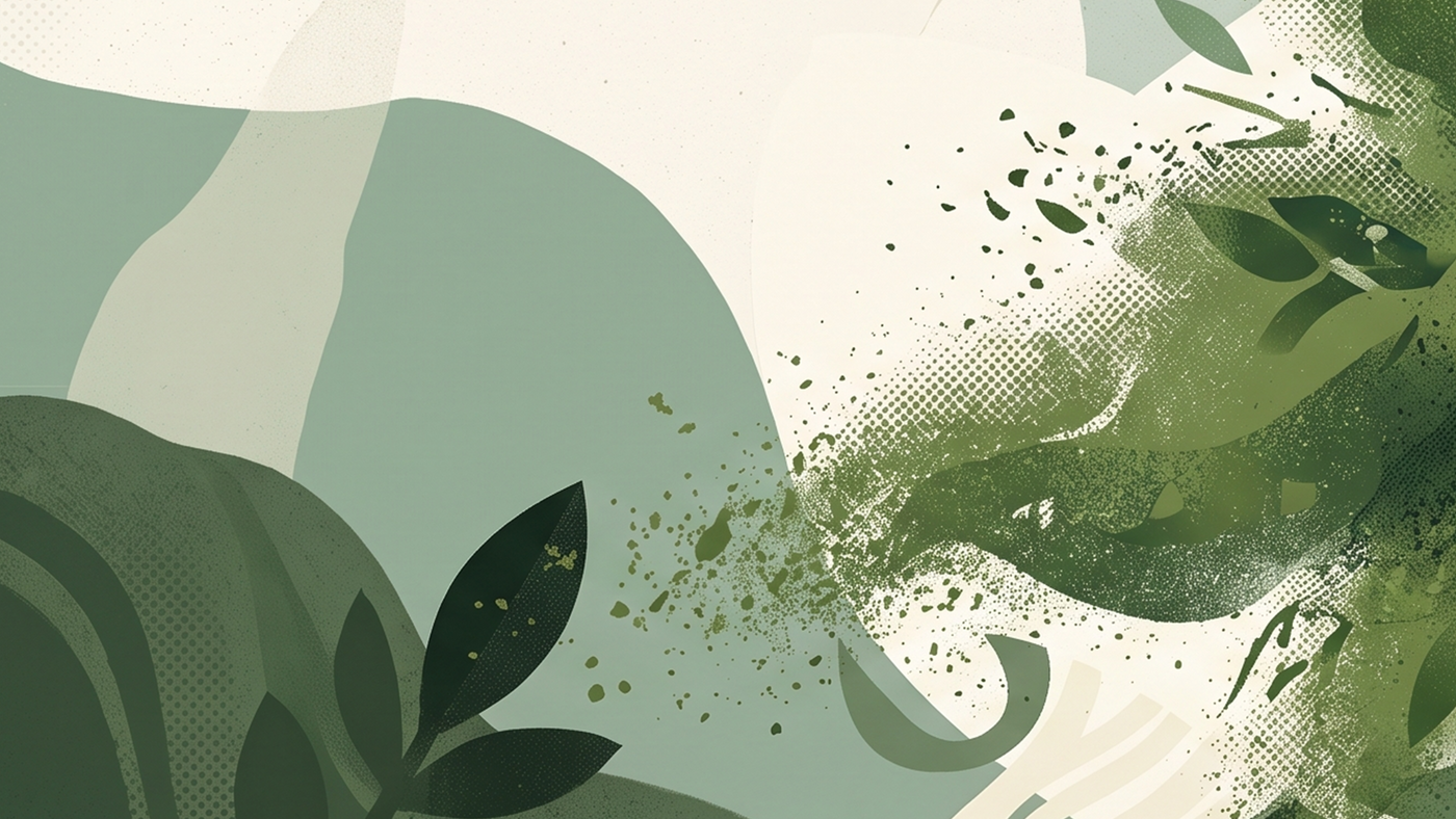 Moringa Powder Benefits, Uses and Side Effects - Complete Guide
